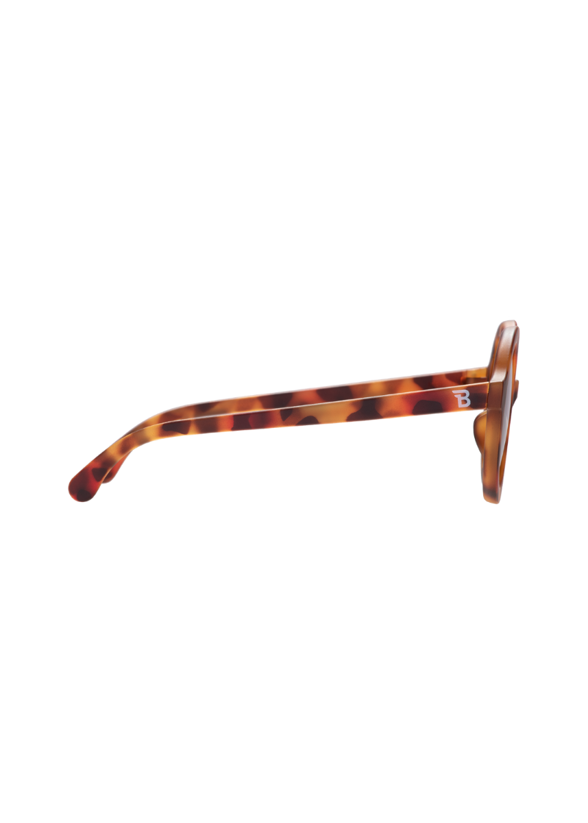 Sunglasses with tortoiseshell frame on a white background
