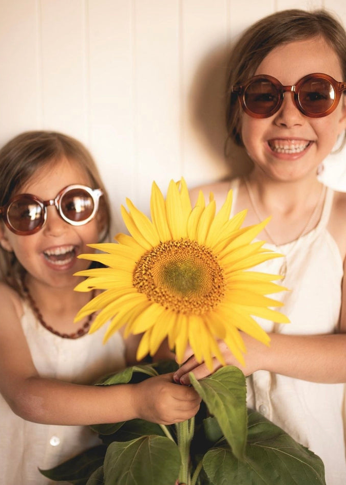 SIGNATURE ROUND SUNGLASSES - AMBER