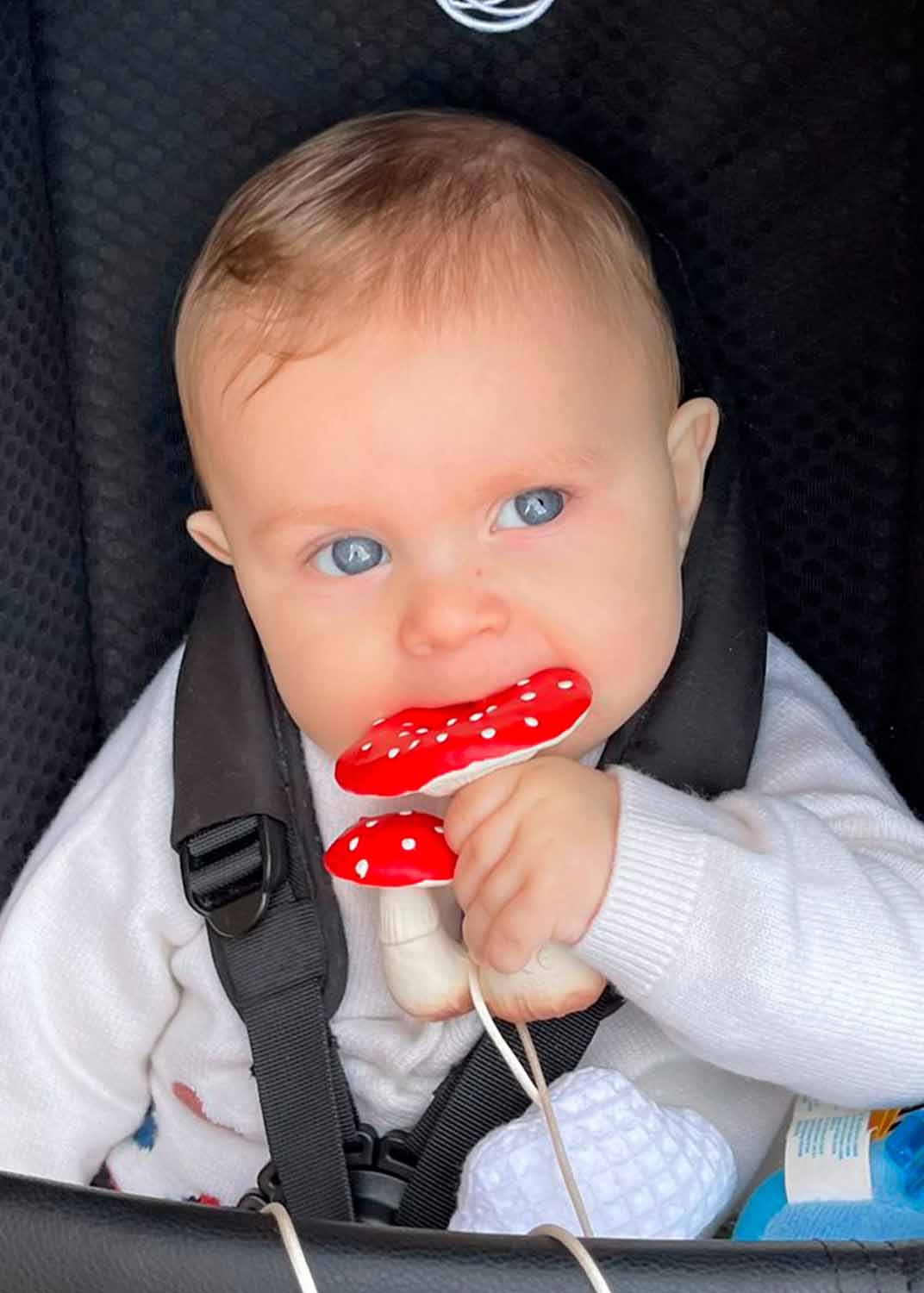 SPOT THE MUSHROOM TEETHER