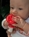 SPOT THE MUSHROOM TEETHER