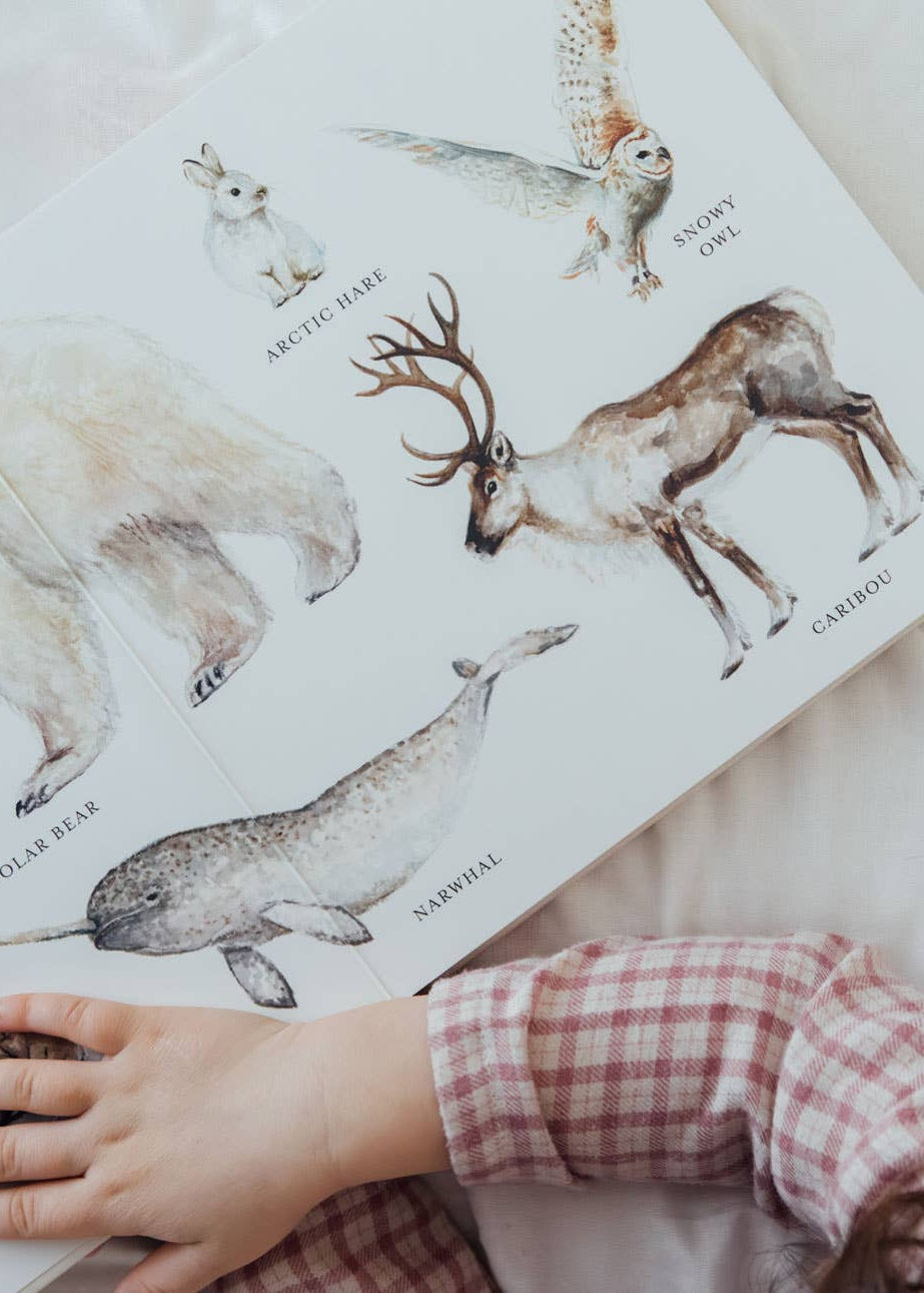 Children's book with illustrations of Arctic animals and a child's hand on the cover.