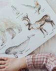Children's book with illustrations of Arctic animals and a child's hand on the cover.