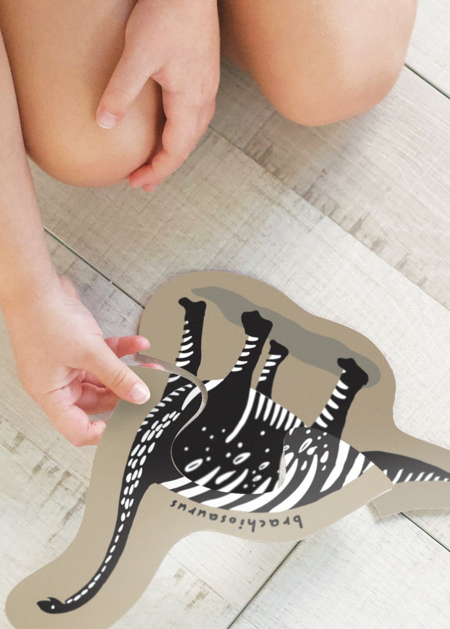 BEGINNER PUZZLES - DINO