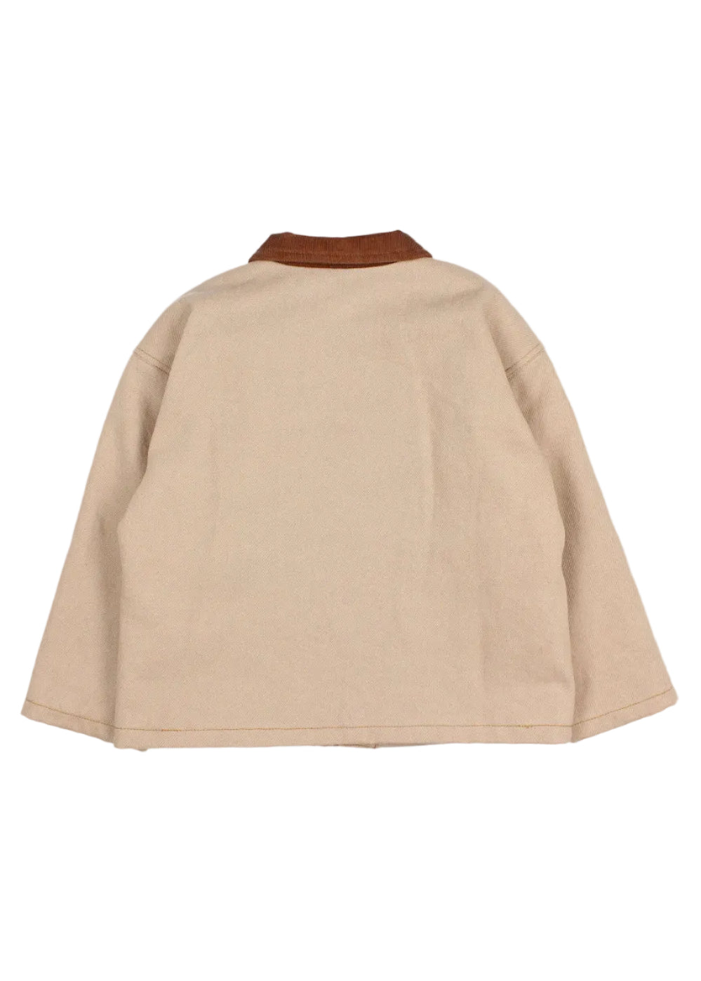 A beige canvas jacket shown from the back, featuring a contrasting brown collar, photographed against a clean white background.