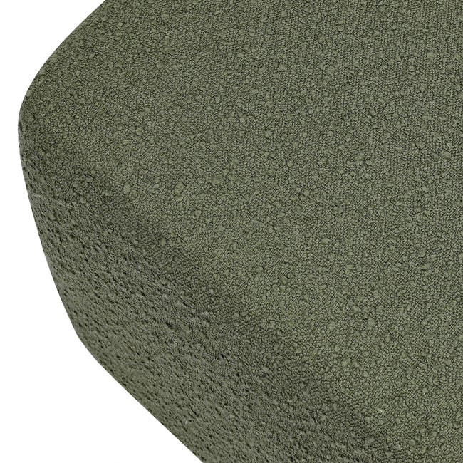 Close-up of a green textured circular object on a white background