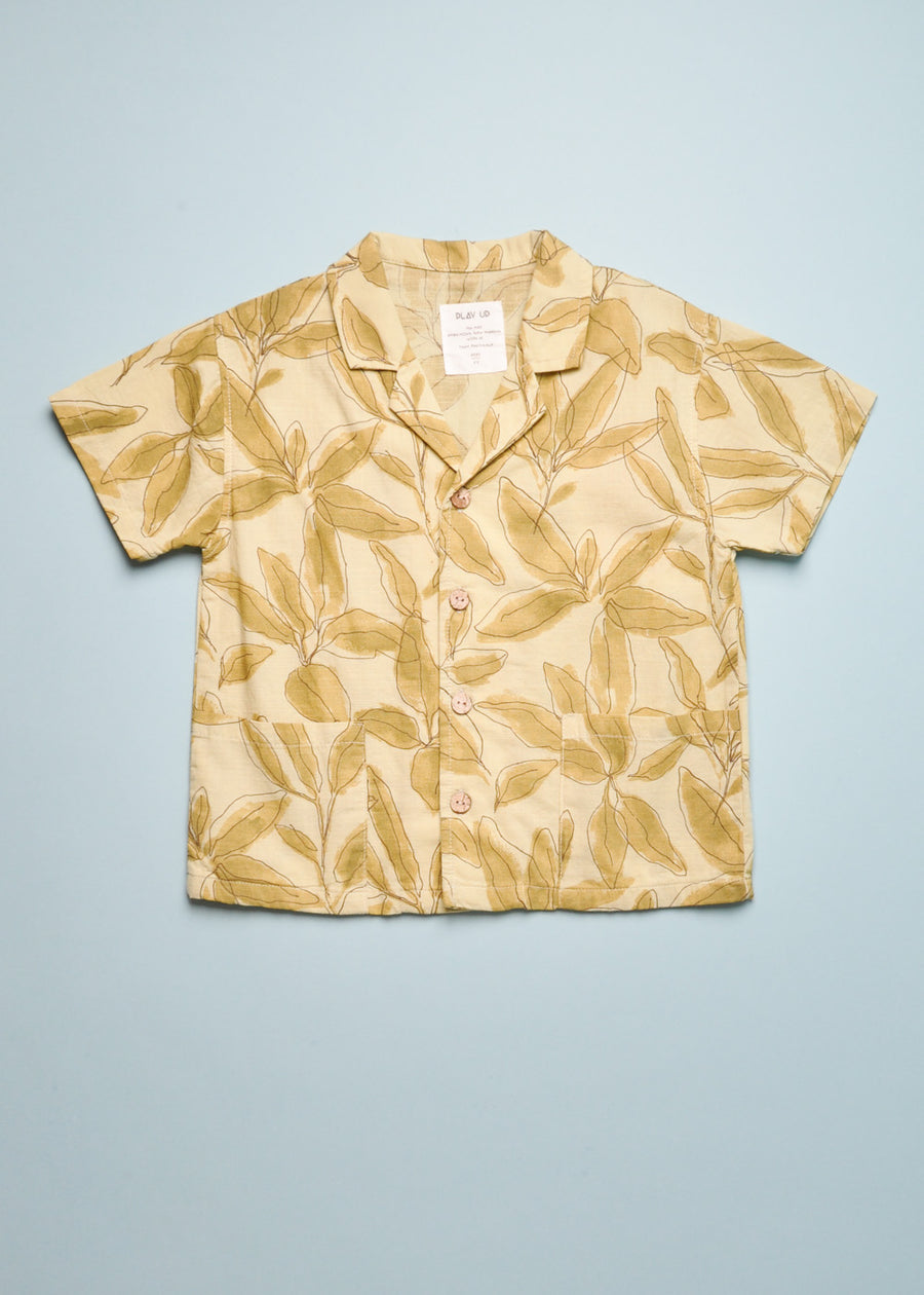 PLANT PANAMA BUTTON DOWN