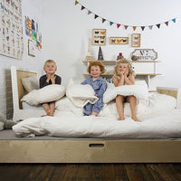 SPARROW TRUNDLE BED